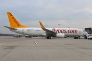 Pegasus Airlines Boeing 737-82R (TC-AAV) at  Cologne/Bonn, Germany