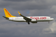 Pegasus Airlines Boeing 737-82R (TC-AAY) at  Amsterdam - Schiphol, Netherlands