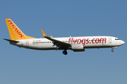 Pegasus Airlines Boeing 737-82R (TC-AAZ) at  Amsterdam - Schiphol, Netherlands
