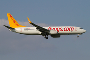 Pegasus Airlines Boeing 737-82R (TC-AAZ) at  Zurich - Kloten, Switzerland