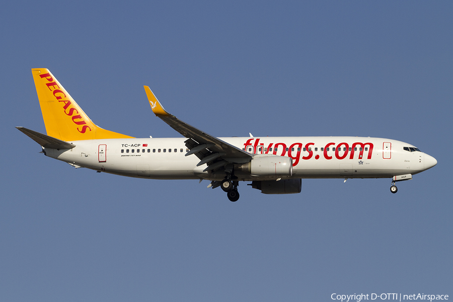 Pegasus Airlines Boeing 737-82R (TC-ACP) | Photo 391619