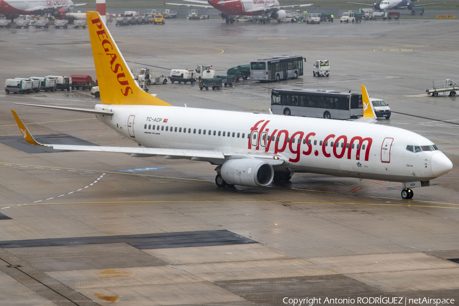 Pegasus Airlines Boeing 737-82R (TC-ACP) | Photo 379190