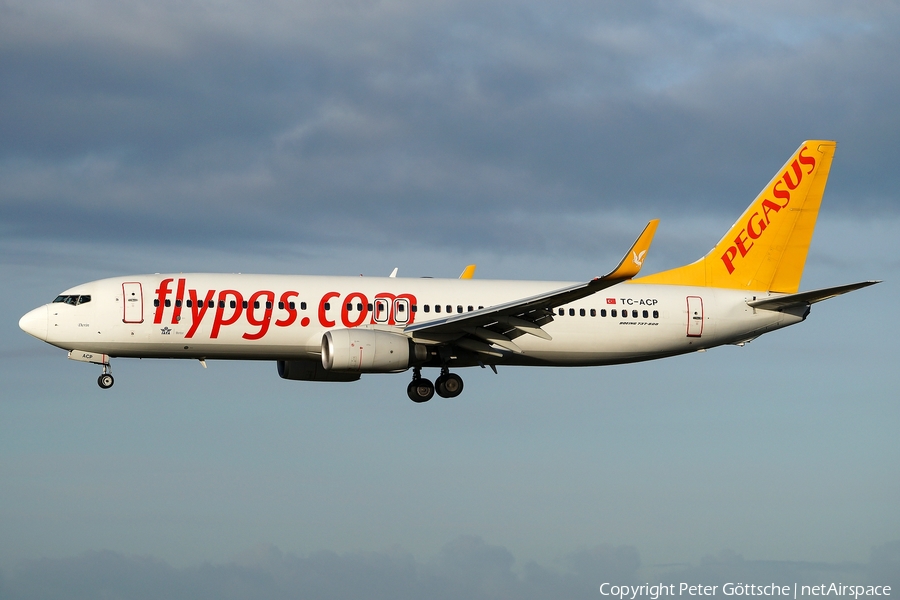 Pegasus Airlines Boeing 737-82R (TC-ACP) | Photo 137280