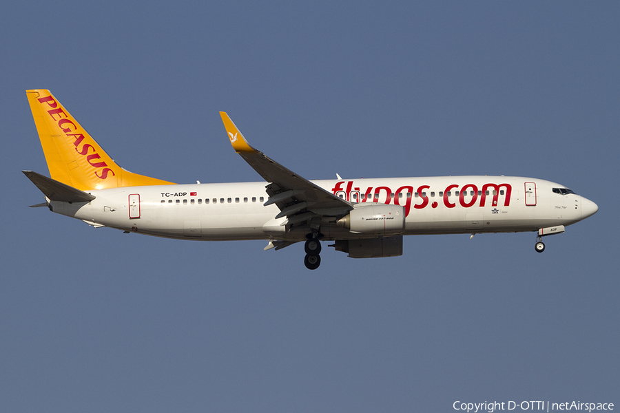 Pegasus Airlines Boeing 737-82R (TC-ADP) | Photo 392204