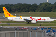 Pegasus Airlines Boeing 737-82R (TC-ADP) at  Hamburg - Fuhlsbuettel (Helmut Schmidt), Germany