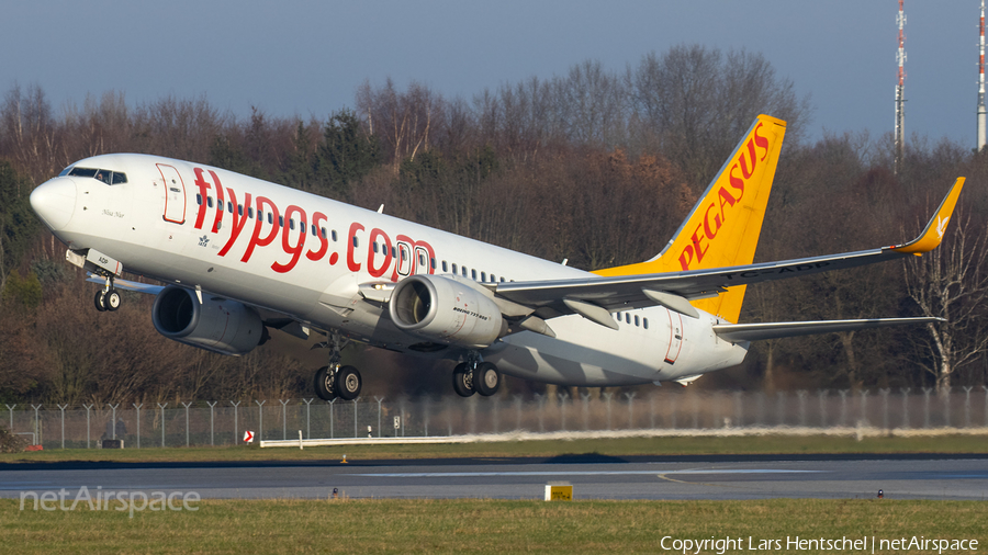 Pegasus Airlines Boeing 737-82R (TC-ADP) | Photo 416554