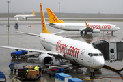 Pegasus Airlines Boeing 737-82R (TC-ADP) at  Istanbul - Sabiha Gokcen International, Turkey