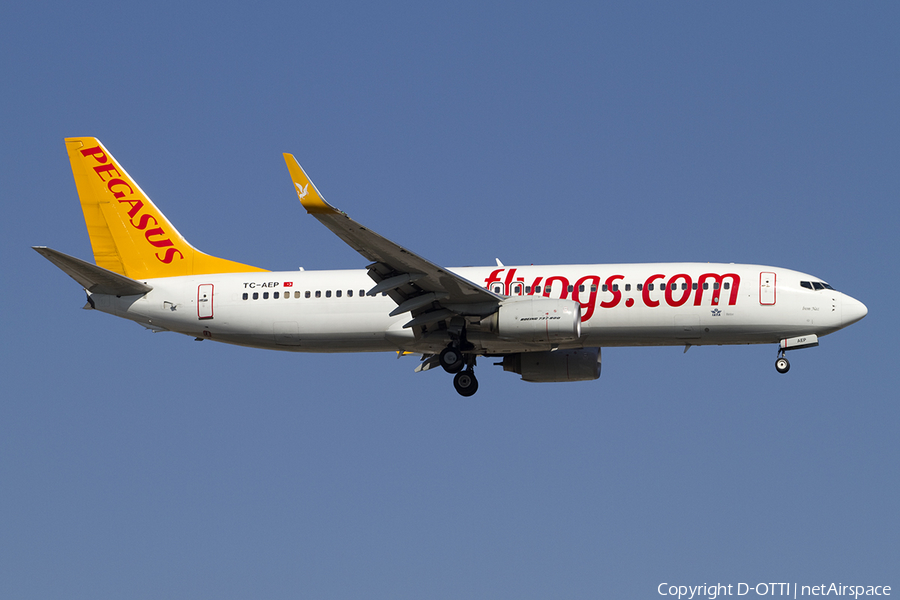 Pegasus Airlines Boeing 737-82R (TC-AEP) | Photo 391608