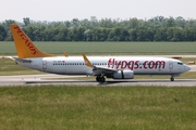Pegasus Airlines Boeing 737-82R (TC-AEP) at  Vienna - Schwechat, Austria