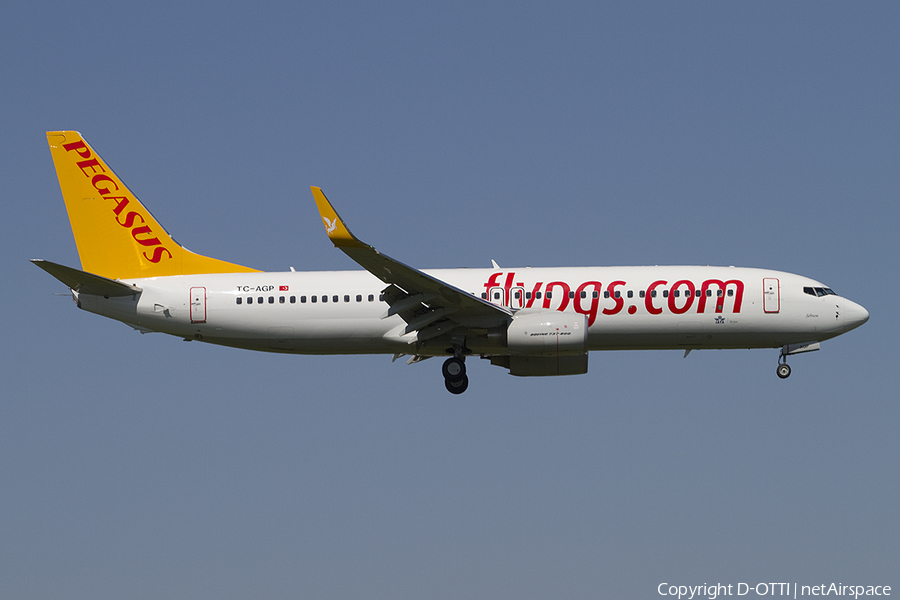 Pegasus Airlines Boeing 737-82R (TC-AGP) | Photo 358356