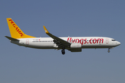 Pegasus Airlines Boeing 737-82R (TC-AGP) at  Amsterdam - Schiphol, Netherlands