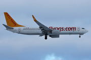 Pegasus Airlines Boeing 737-82R (TC-AGP) at  Moscow - Domodedovo, Russia