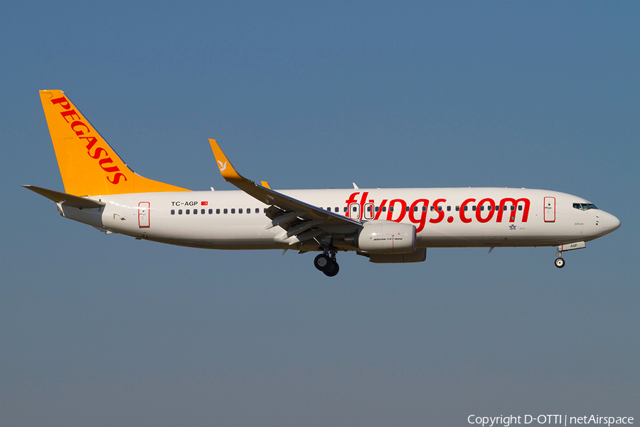 Pegasus Airlines Boeing 737-82R (TC-AGP) | Photo 371549