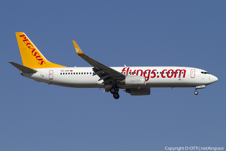 Pegasus Airlines Boeing 737-82R (TC-AIP) | Photo 391029