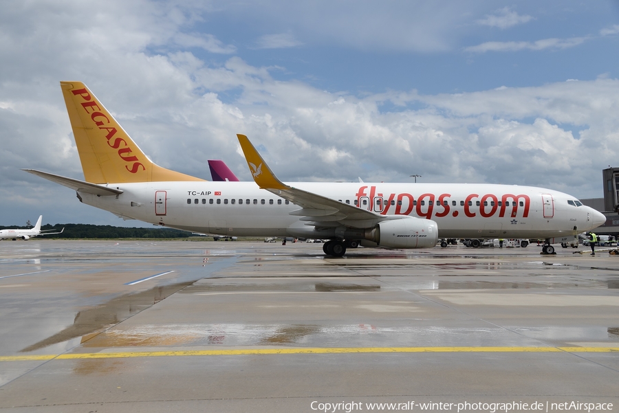 Pegasus Airlines Boeing 737-82R (TC-AIP) | Photo 375669