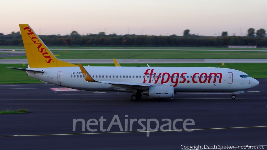 Pegasus Airlines Boeing 737-82R (TC-AJP) | Photo 213319