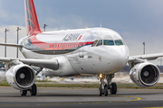 Albanian Government Airbus A319-115X CJ (TC-ANA) at  Berlin Brandenburg, Germany