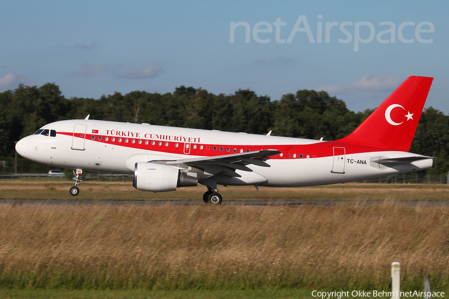 Turkish Government Airbus A319-115X CJ (TC-ANA) | Photo 208346