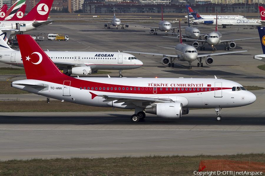 Turkish Government Airbus A319-115X CJ (TC-ANA) | Photo 317846