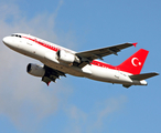 Turkish Government Airbus A319-115X CJ (TC-ANA) at  Berlin - Tegel, Germany