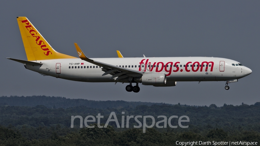 Pegasus Airlines Boeing 737-82R (TC-ANP) | Photo 232086