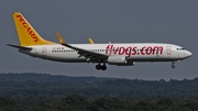 Pegasus Airlines Boeing 737-82R (TC-ANP) at  Cologne/Bonn, Germany