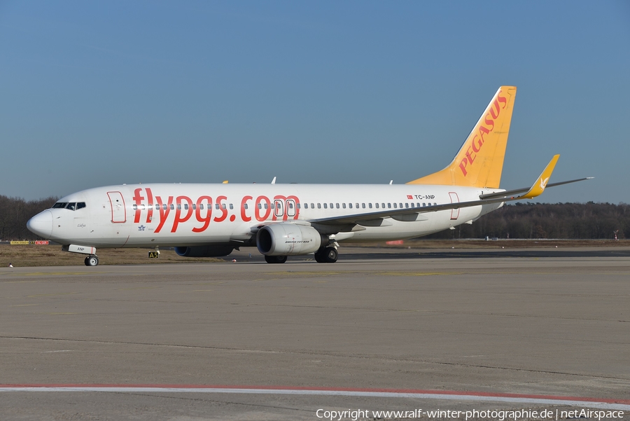 Pegasus Airlines Boeing 737-82R (TC-ANP) | Photo 349372