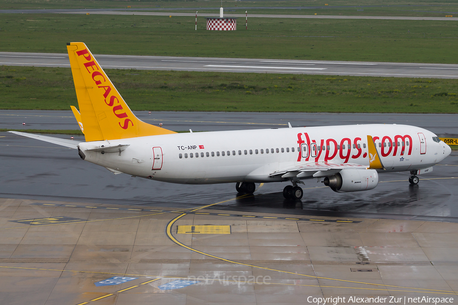 Pegasus Airlines Boeing 737-82R (TC-ANP) | Photo 413582