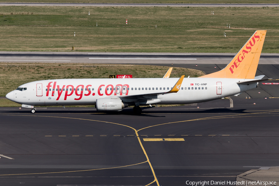 Pegasus Airlines Boeing 737-82R (TC-ANP) | Photo 425675