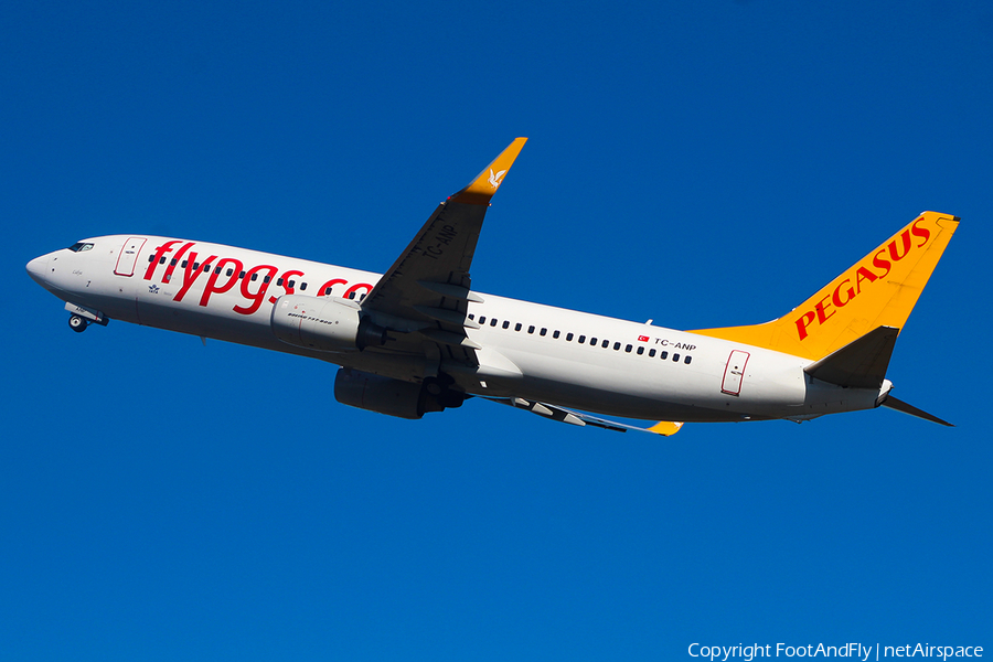 Pegasus Airlines Boeing 737-82R (TC-ANP) | Photo 147952