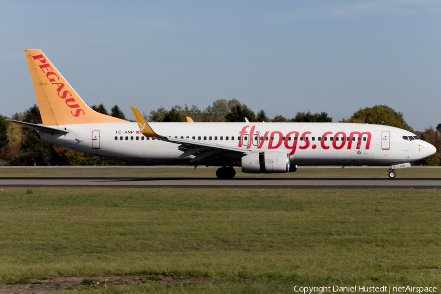 Pegasus Airlines Boeing 737-82R (TC-ANP) | Photo 471259