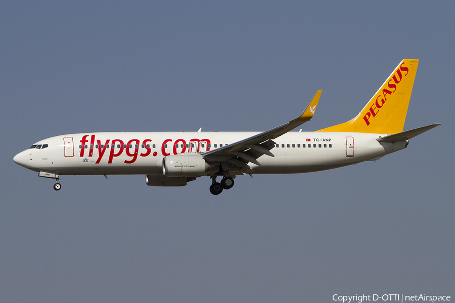 Pegasus Airlines Boeing 737-82R (TC-ANP) | Photo 379357