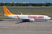 Pegasus Airlines Boeing 737-82R (TC-ANP) at  Berlin - Tegel, Germany