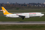 Pegasus Airlines Boeing 737-86N (TC-APF) at  Dusseldorf - International, Germany