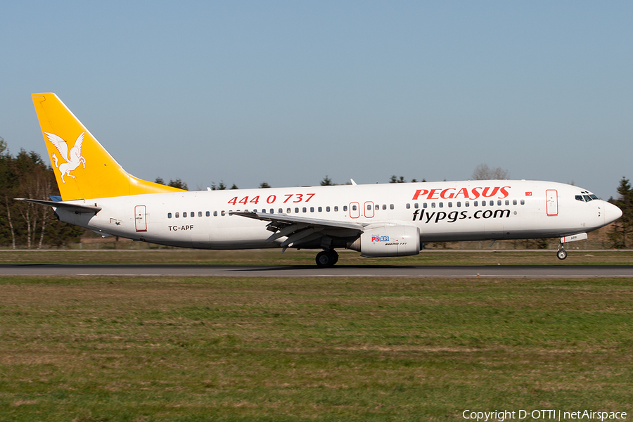 Pegasus Airlines Boeing 737-86N (TC-APF) | Photo 300909