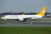 Pegasus Airlines Boeing 737-82R (TC-APG) at  Hamburg - Fuhlsbuettel (Helmut Schmidt), Germany