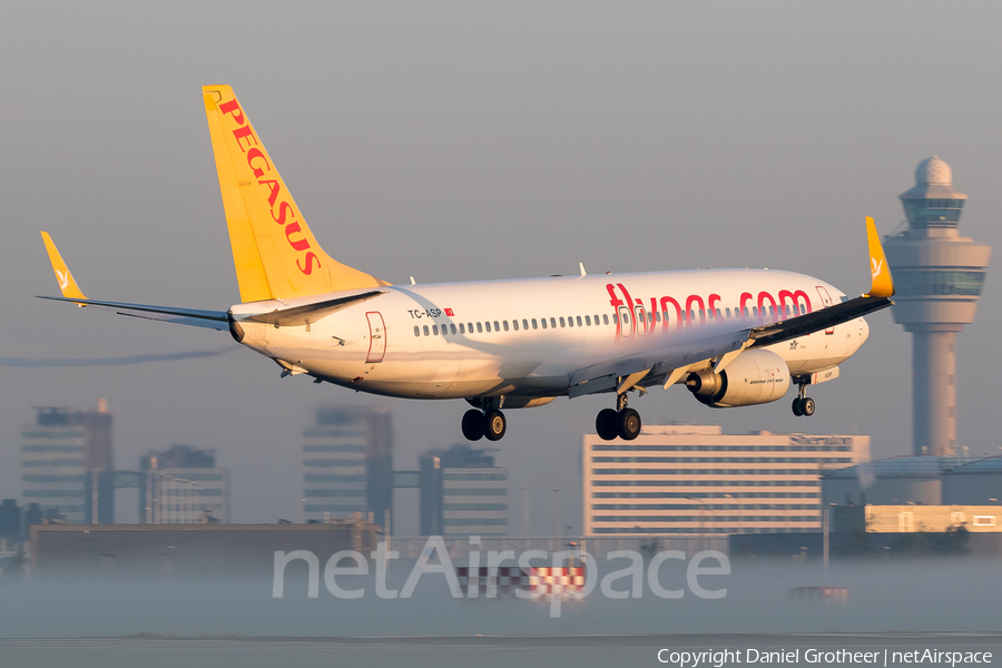 Pegasus Airlines Boeing 737-82R (TC-ASP) | Photo 255570