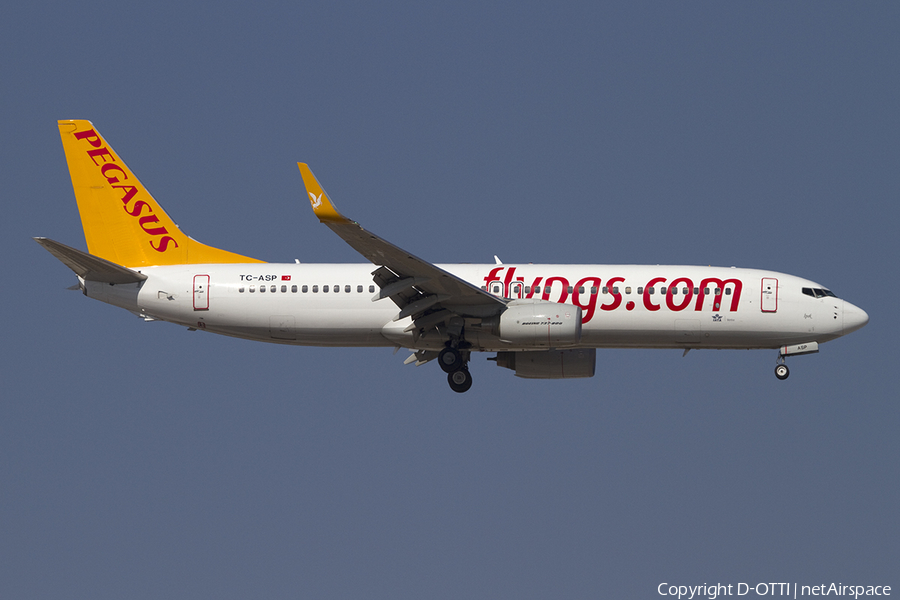 Pegasus Airlines Boeing 737-82R (TC-ASP) | Photo 391361