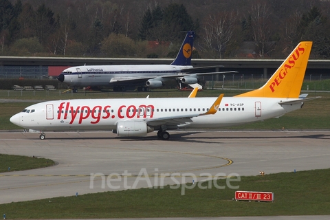 Pegasus Airlines Boeing 737-82R (TC-ASP) at  Hamburg - Fuhlsbuettel (Helmut Schmidt), Germany