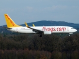 Pegasus Airlines Boeing 737-82R (TC-AVP) at  Cologne/Bonn, Germany