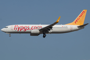 Pegasus Airlines Boeing 737-82R (TC-AVP) at  Frankfurt am Main, Germany