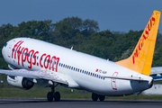 Pegasus Airlines Boeing 737-82R (TC-AVP) at  Manchester - International (Ringway), United Kingdom