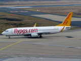 Pegasus Asia Boeing 737-82R (TC-AVP) at  Cologne/Bonn, Germany