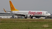 Pegasus Asia Boeing 737-82R (TC-AVP) at  Dusseldorf - International, Germany