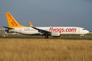 Pegasus Asia Boeing 737-82R (TC-AVP) at  Hamburg - Fuhlsbuettel (Helmut Schmidt), Germany