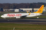 Pegasus Asia Boeing 737-82R (TC-AVP) at  Hamburg - Fuhlsbuettel (Helmut Schmidt), Germany