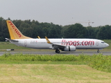 Pegasus Airlines Boeing 737-82R (TC-AZP) at  Cologne/Bonn, Germany