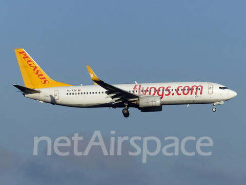 Pegasus Airlines Boeing 737-82R (TC-AZP) at  Cologne/Bonn, Germany