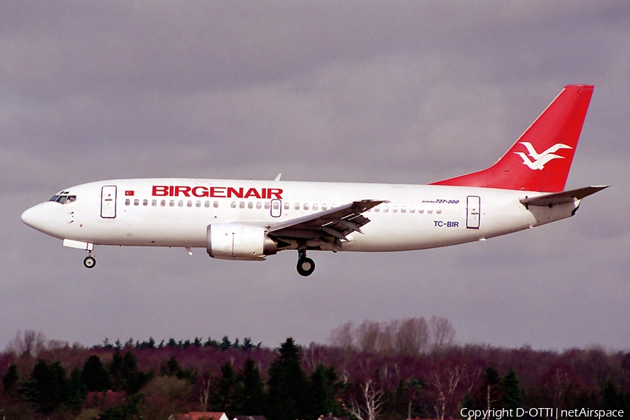 Birgenair Boeing 737-3M8 (TC-BIR) | Photo 141481