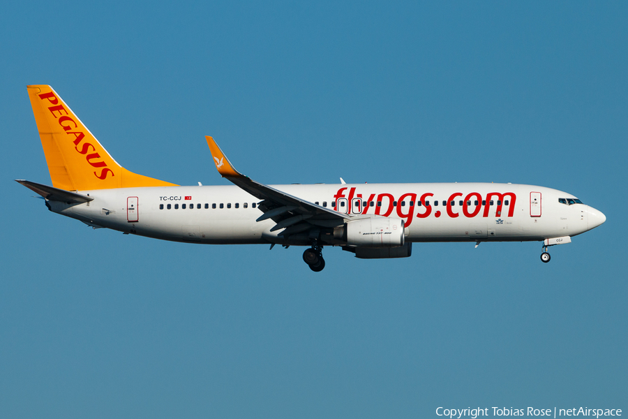Pegasus Airlines Boeing 737-82R (TC-CCJ) | Photo 310039